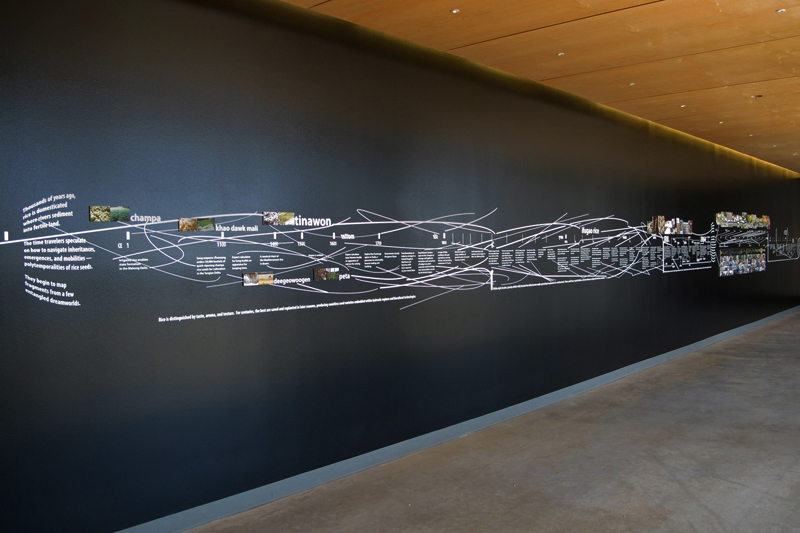 rice installation